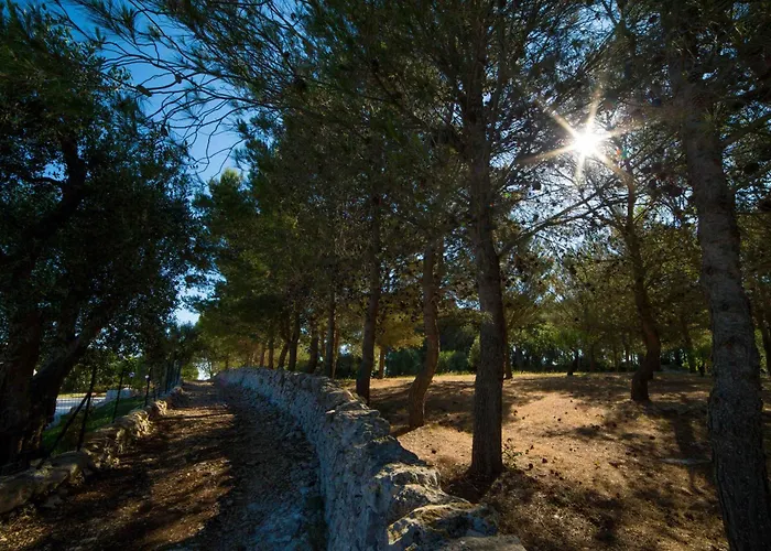 Trulli Anastasia