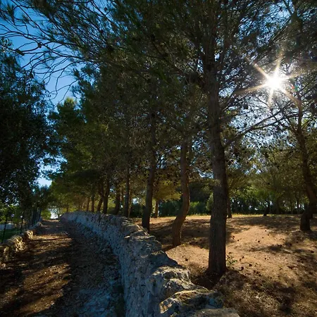 Trulli Anastasia